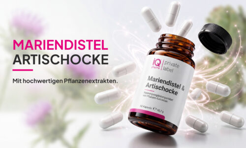 Kursvorschaubild