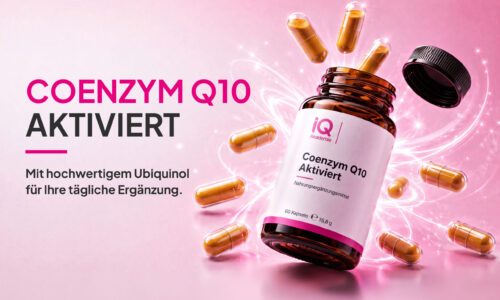 Kursvorschaubild